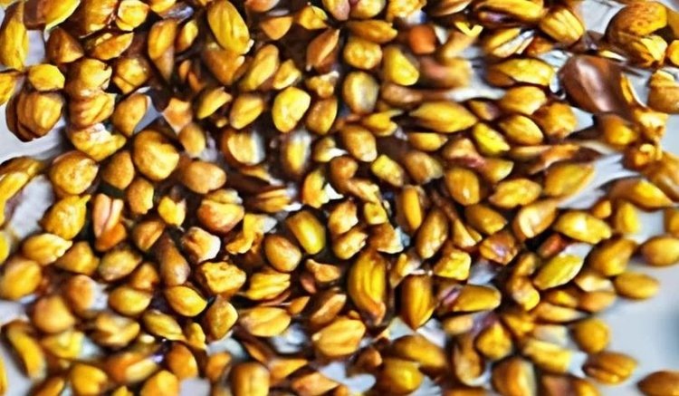    В Татарстане увеличилось число выданных Россельхознадзором предостережений в области семеноводства