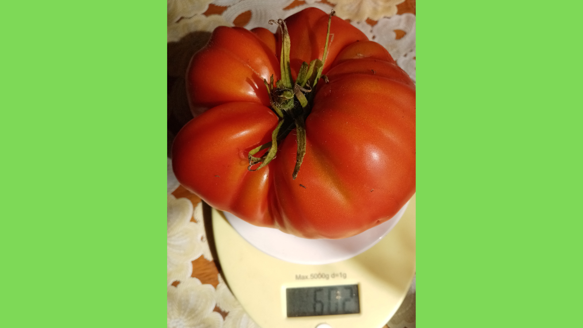 Внучкина радость