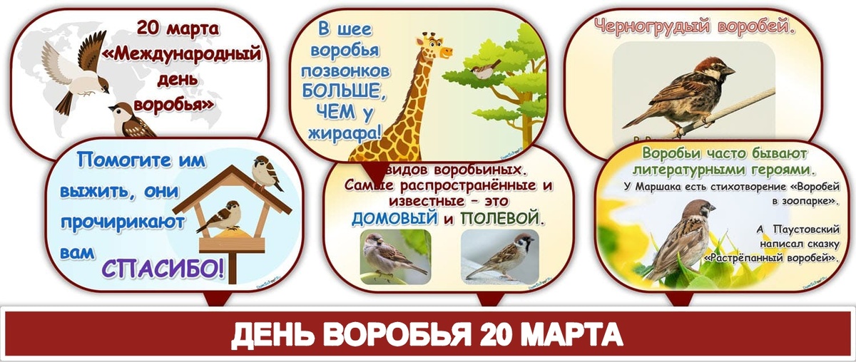 День воробья. Шаблоны речевых облачков.