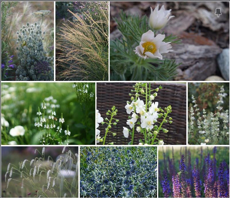 Все фото - https://dzen.ru/a/ZxUJTOTb8142a3qv