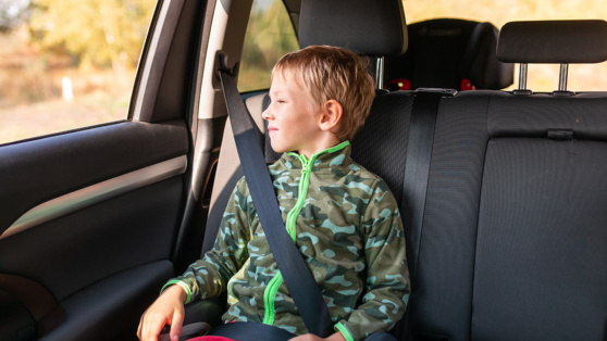    Штрафы за перевозку детей без автокресел хотят увеличить в 2 раза ©Len44ik / Shutterstock / Fotodom