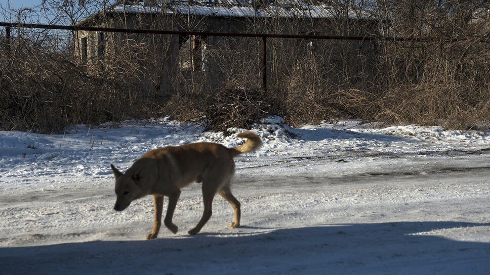 Фото: Александр Гальперин / Коммерсантъ