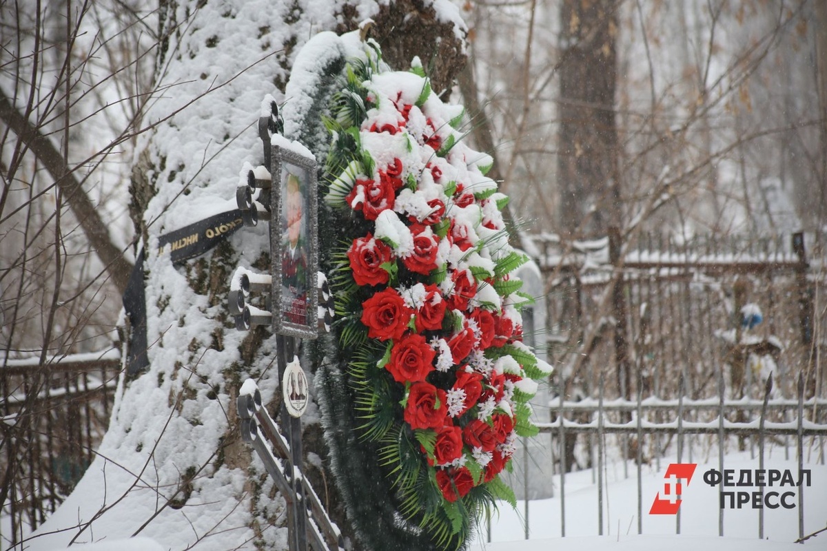 Работодатели готовы щедро платить редким специалистам.  Фото: Фото: ФедералПресс / Ольга Юшкова