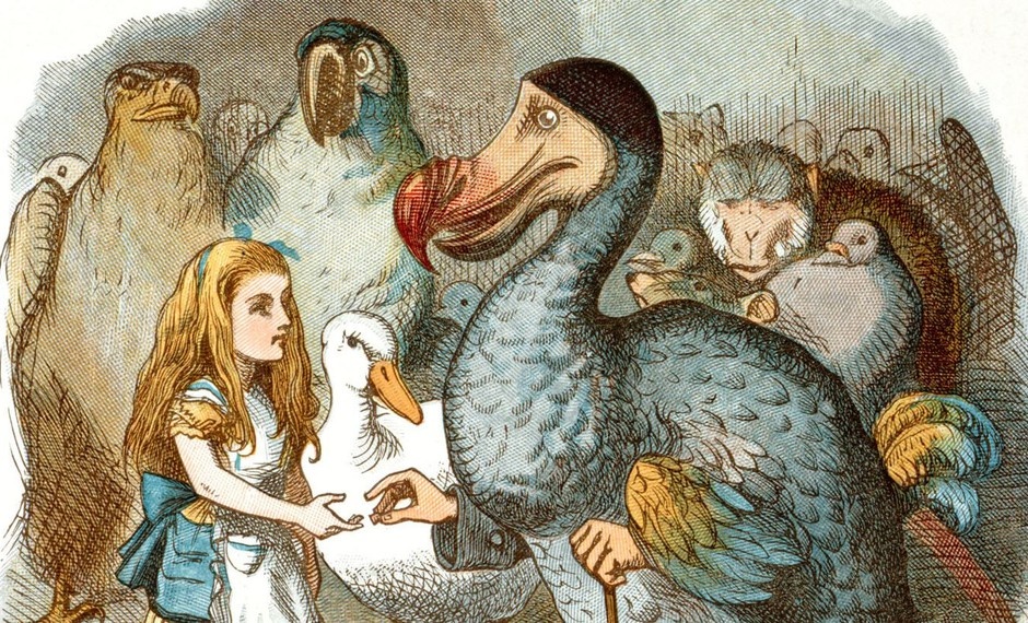 Алиса в стране чудес. Иллюстрация Дж. Тенниела. Фото из интернета