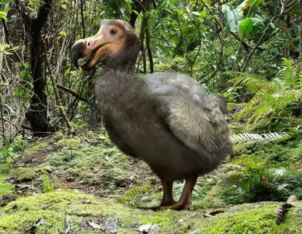 Современная реконструкция. Фото из интернета