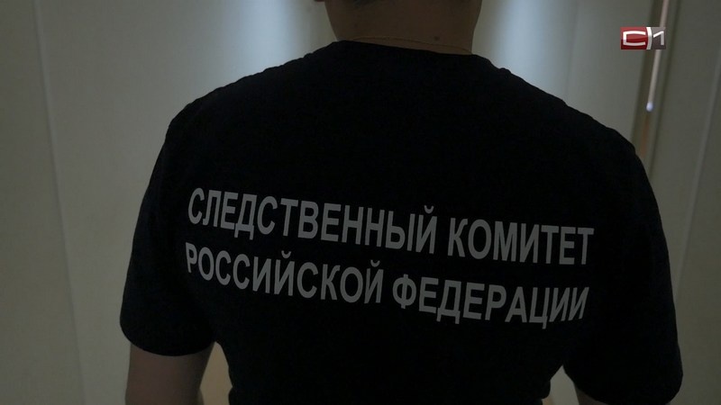 Александр Бастрыкин потребовал проверить мигрантов-предпринимателей в Югре