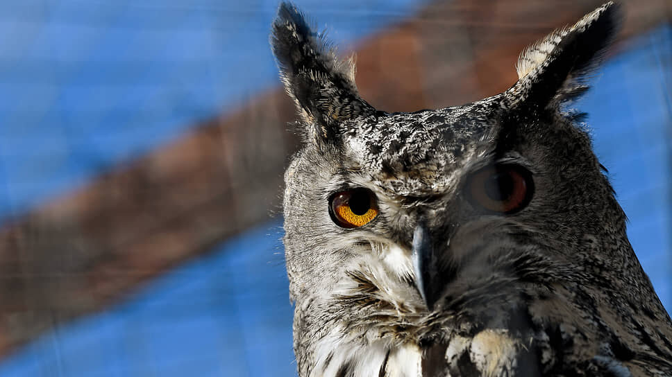 Фото: Александр Казаков / Коммерсантъ