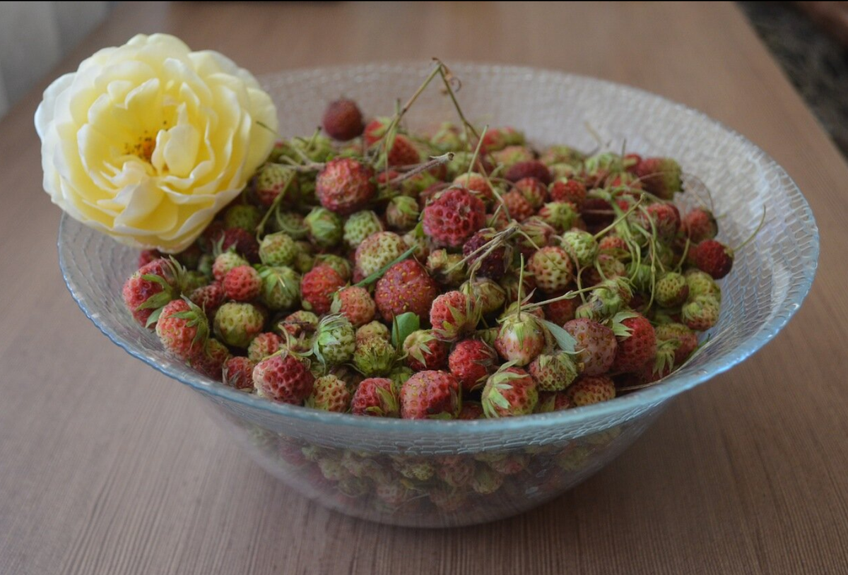 Земляника с дачных склонов