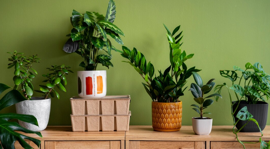 Изображение от Freepik