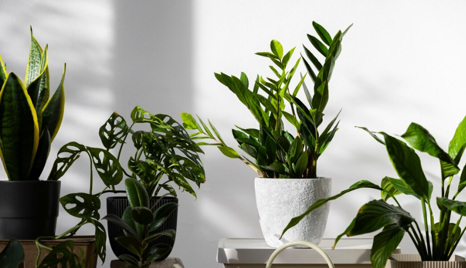 Изображение от Freepik