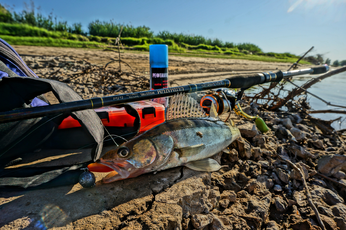 фото: Александр Ляшенко