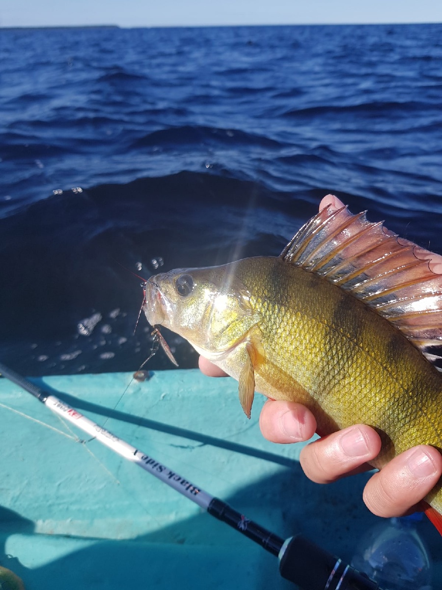Спиннингом, которым удобно ловить с лодки, не всегда удобно ловить с берега, и наоборот.
