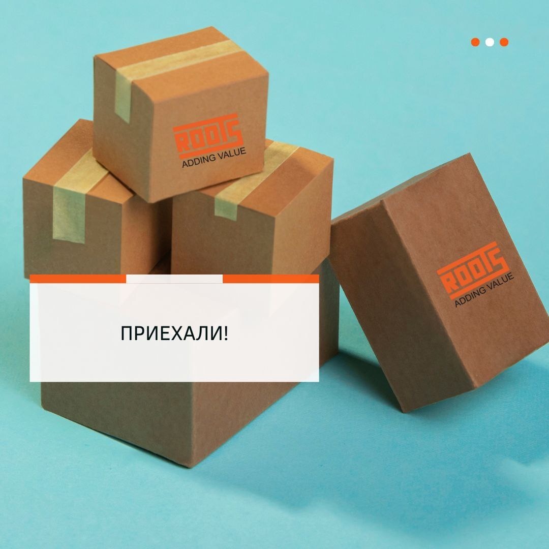 Приехали! Хиты продаж ROOTS в России