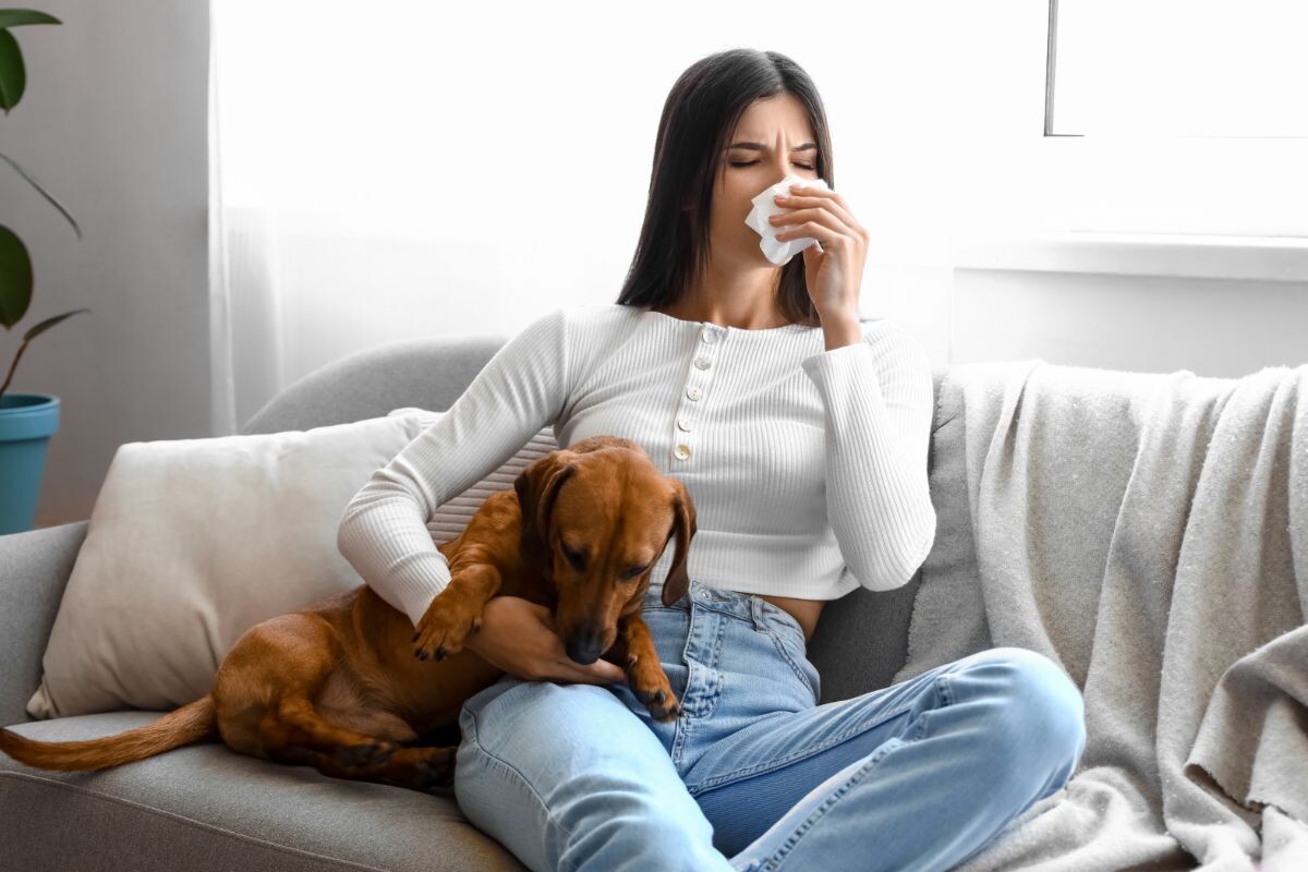 Может ли собака заразиться от человека