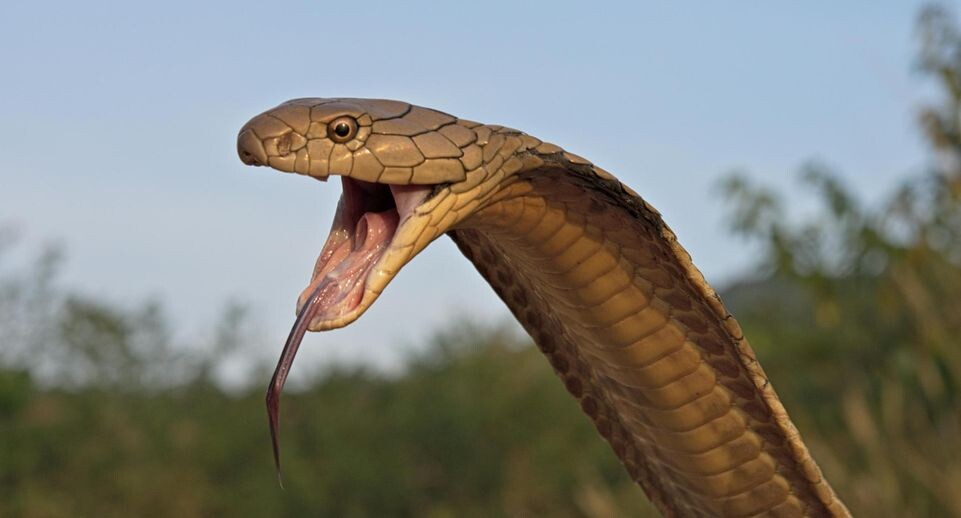    Clément Carbillet/http://imagebroker.com/#/search/ / www.globallookpress.com