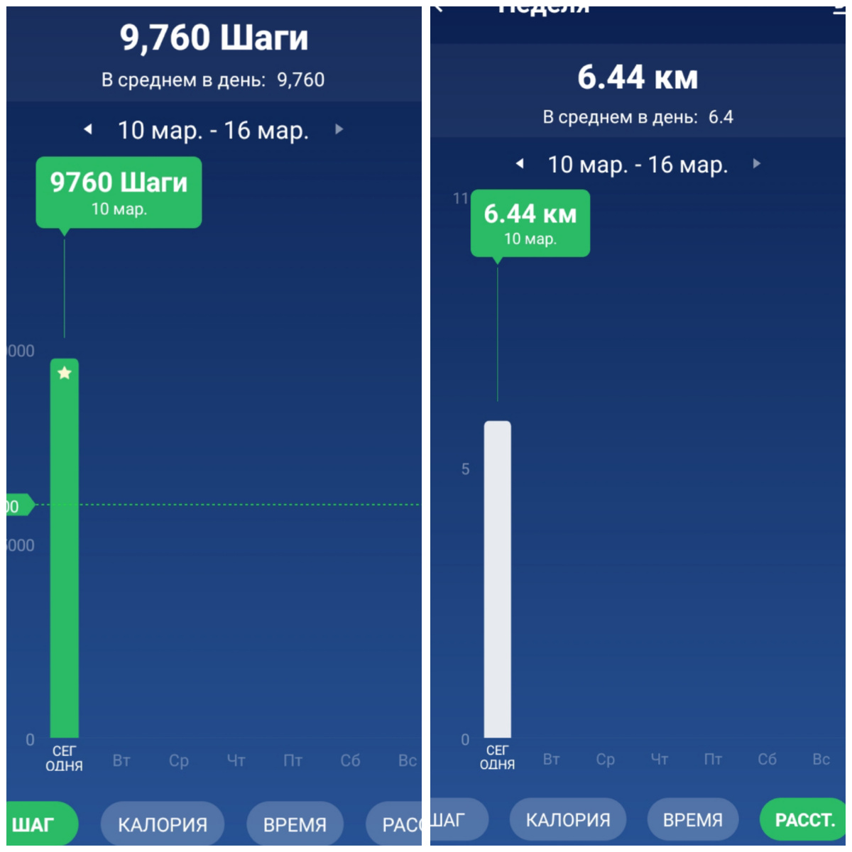 Чуть-чуть до нормы не добрала, хоть бери и вокруг дома круги нарезай.