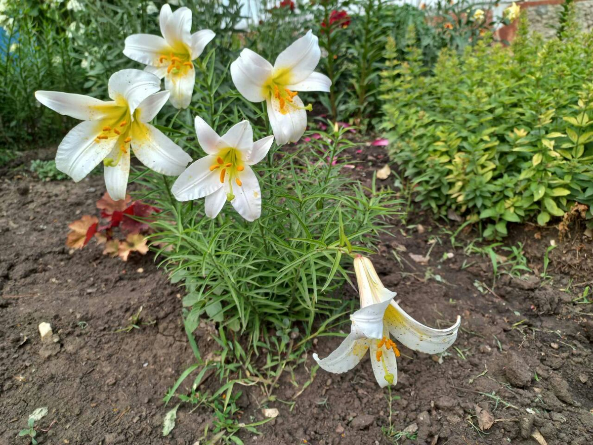 Фото автора.