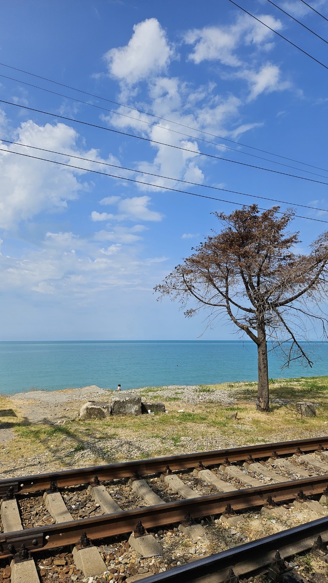 Манящие умиротворяющие виды в дороге