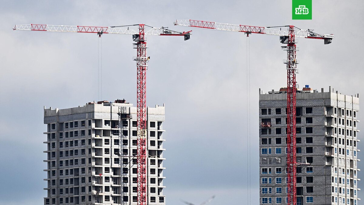    Фото: РИА Новости © 2025, Пелагия Тихонова