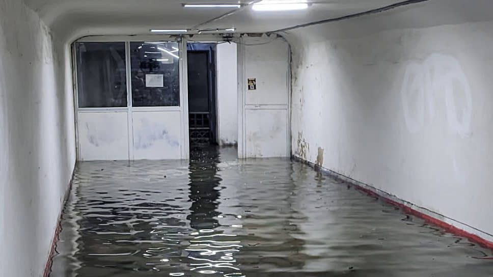 Фото: «Тютина» / t.me