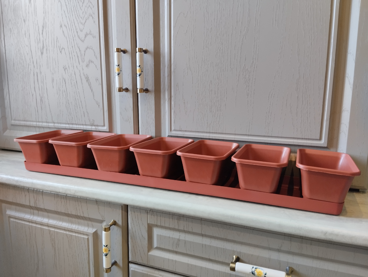 Набор "мини-сад" выбрала для посевов шалфея