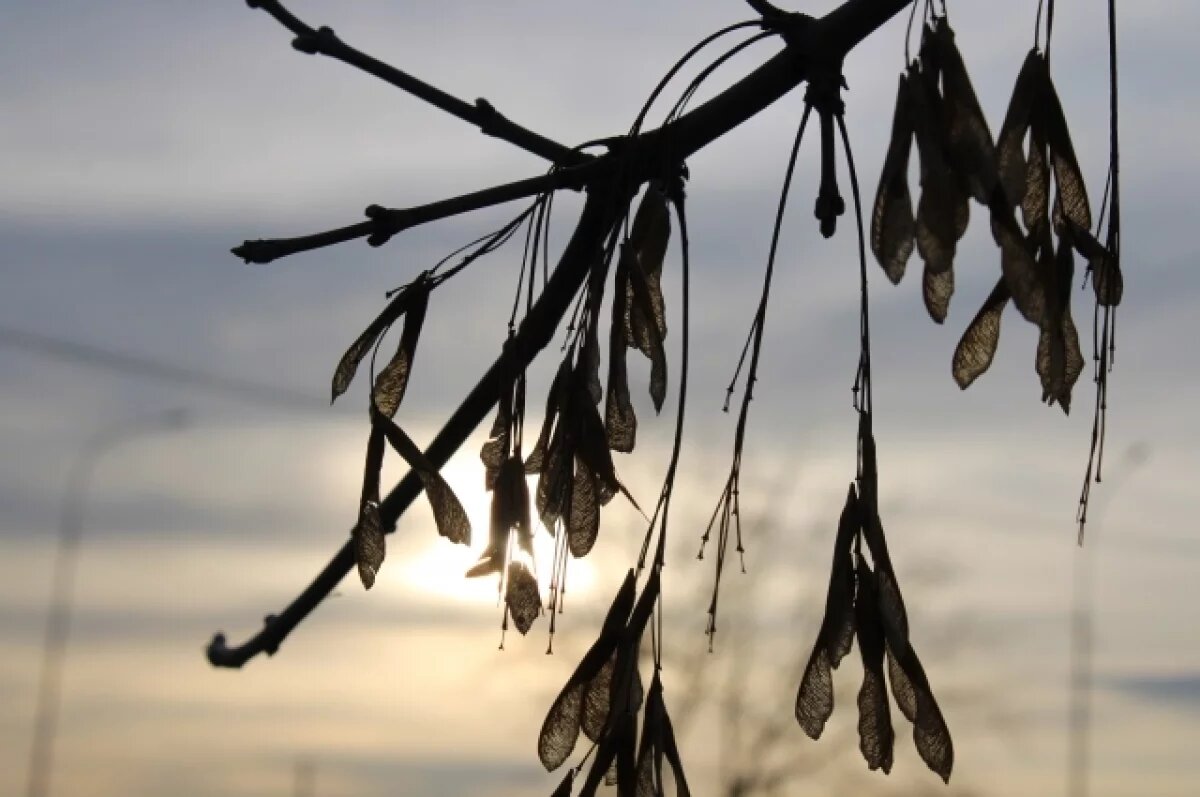    МЧС Башкирии предупреждает об аномально теплой погоде и дождях