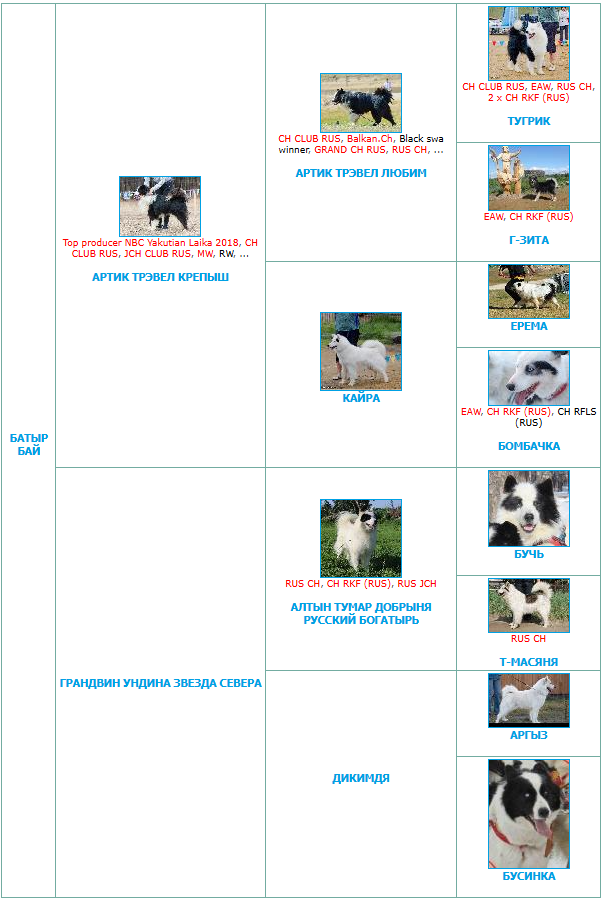 А вот и предки нашего особенного 