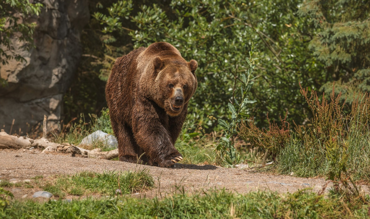 Изображение от Freepik