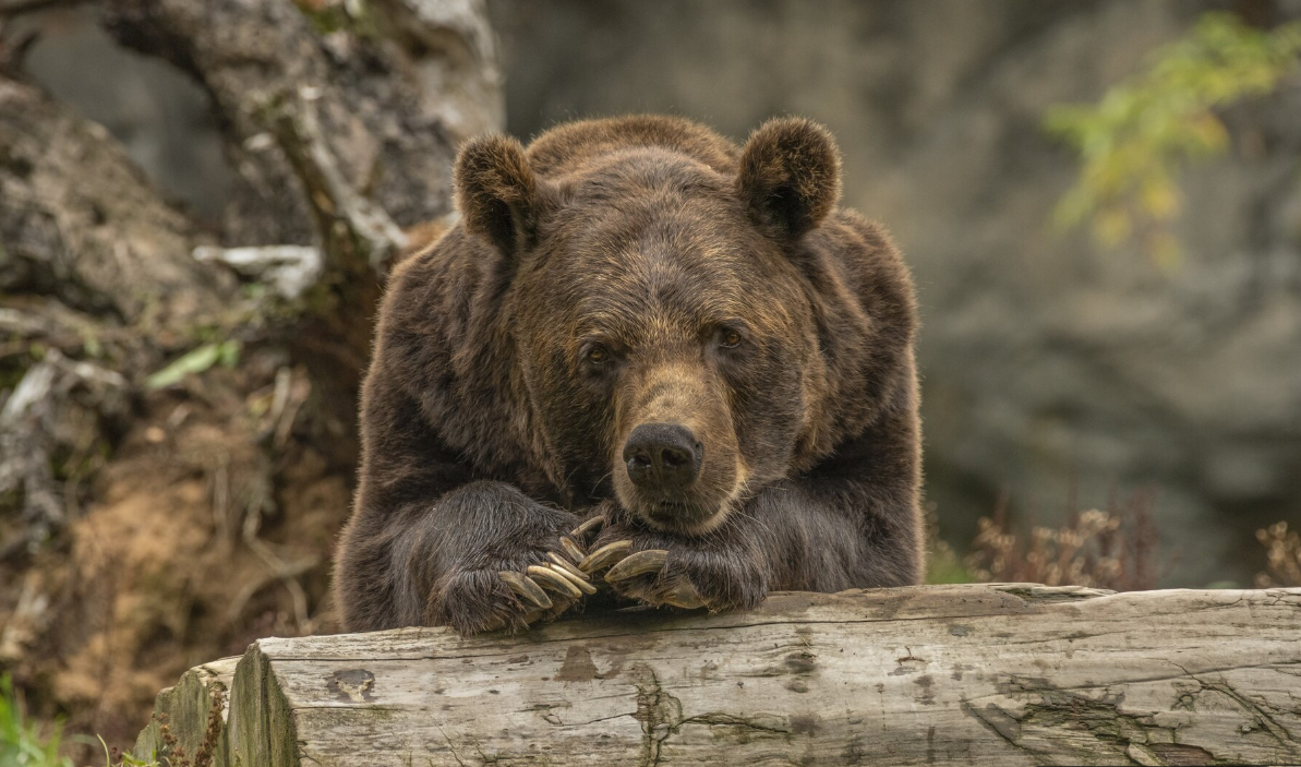 Изображение от Freepik