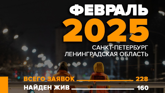Фото: "Поисковый отряд "ЛизаАлерт" Питер/ВКонтакте"