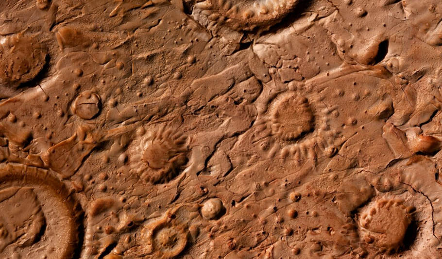 Изображение от Freepik