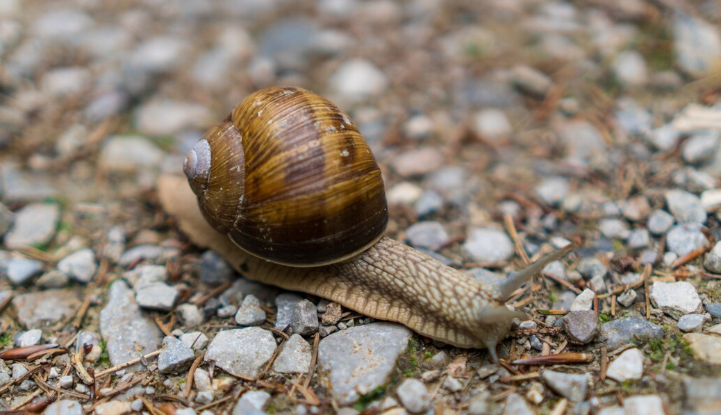 Изображение от Freepik