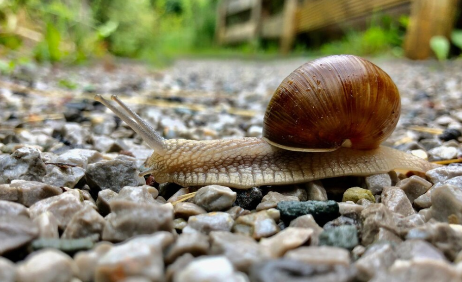 Изображение от Freepik