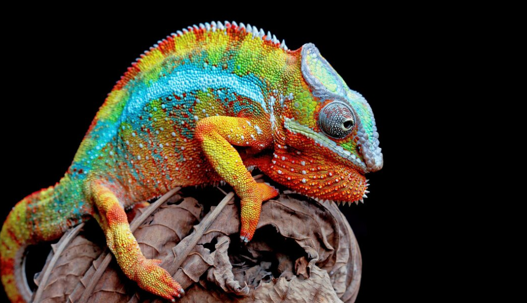 Изображение от Freepik