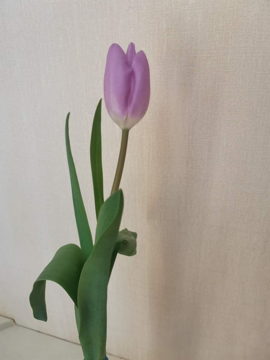 8 Марта в отеле подарили