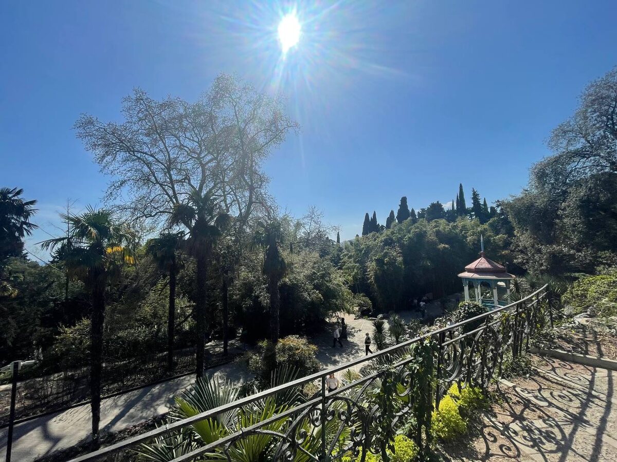 Никитский ботанический сад