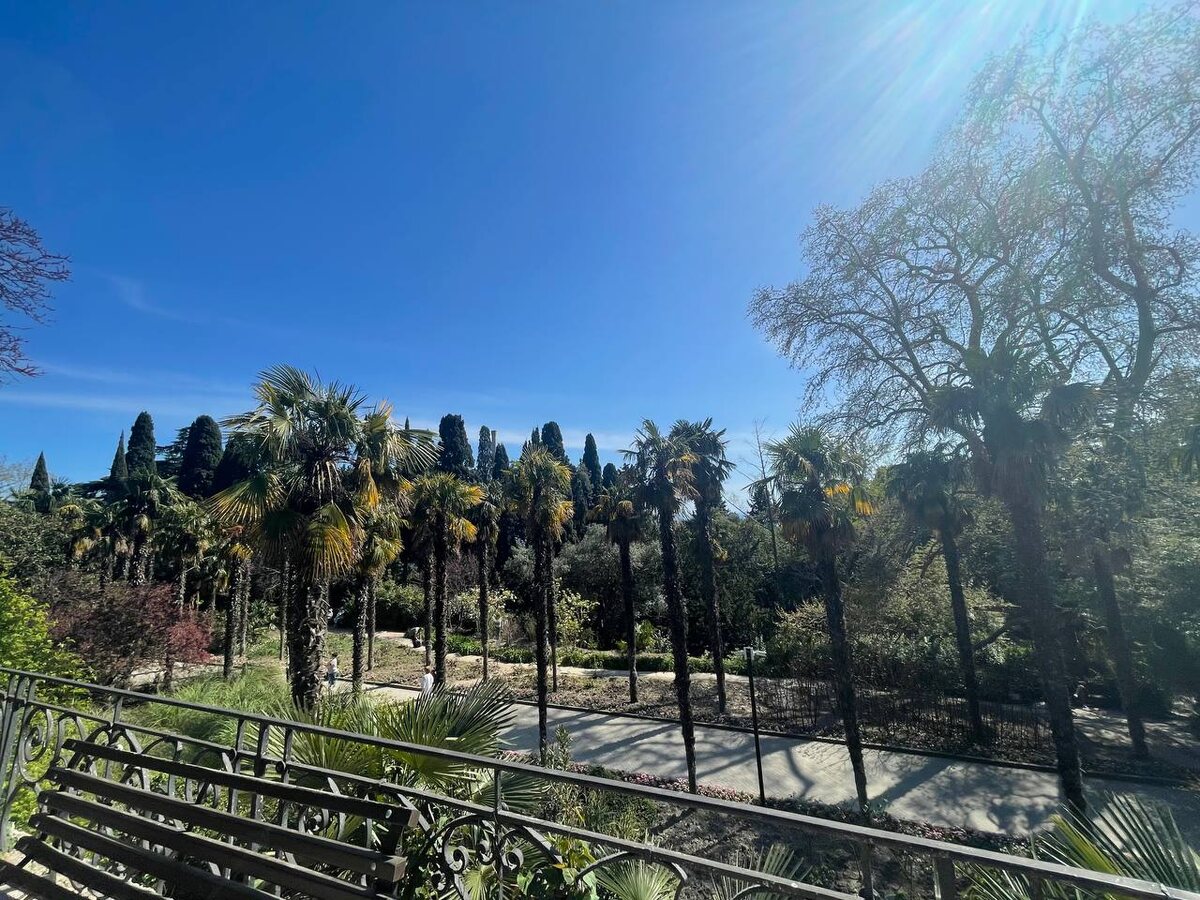 Никитский ботанический сад