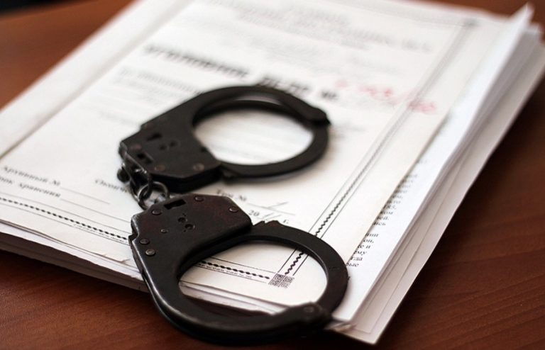    Фото: lipetsk.sledcom.ru Ирина Амелина