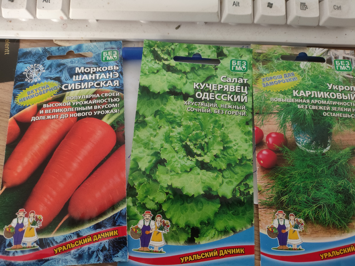 Все семена свежие, зимой покупала, посмотрим, как взойдут.