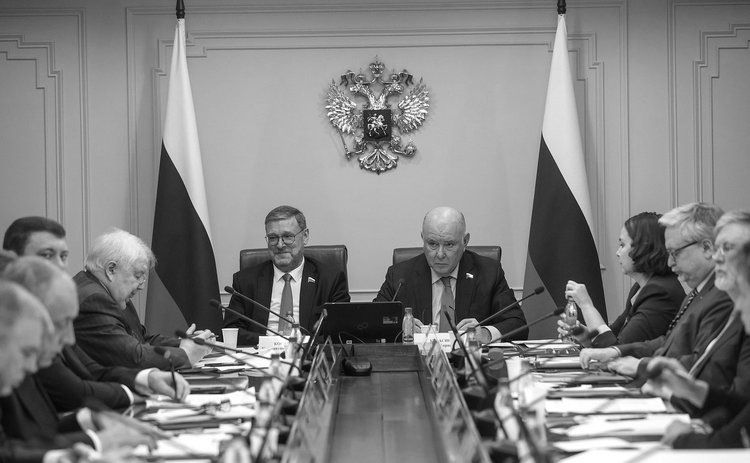    Сенаторы предложили инициативы по настройке прямых связей между субъектами РФ и регионами африканских стран с учетом сферы АПК