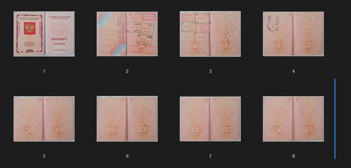 в паспорте РФ 46 страниц - это 24 разворота. И надо все это сложить в один многостраничный PDF и чтоб он был размером до 5 мб.  Паспорт можете отфоткать и телефоном, потом обрезать лишнее, уменьшить разрешение, объединить в один PDF и PDF ужать сервисом Ilovepdf.  Если в компом не на ты, то идите в фотомастерскую и покупайте услугу. В итоге получите что то такое