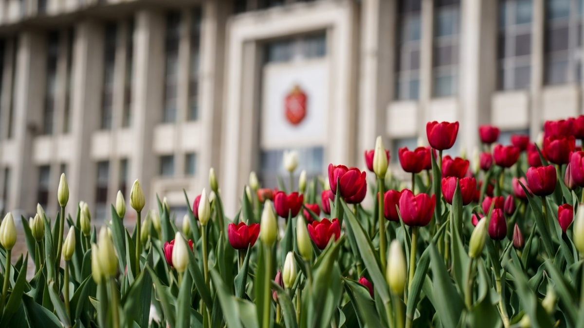 Светлана Мулыкина📷
