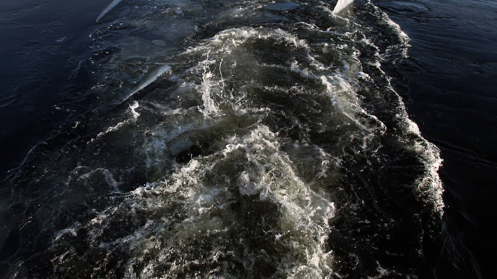 Фото: Юрий Стрелец / Коммерсантъ