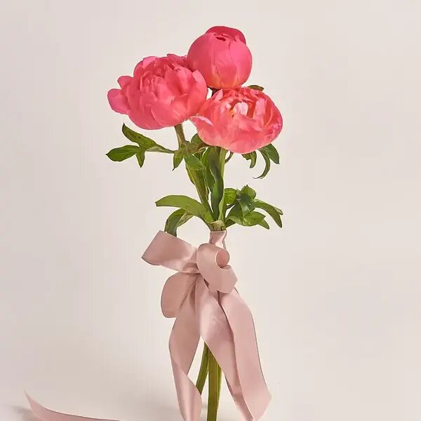   Пышные пионы от AzaliaNow Мария Казённова