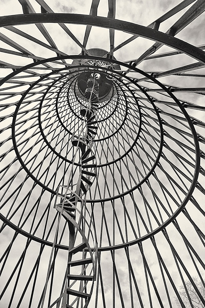 Башня в Полибине. 1896. Вид изнутри.