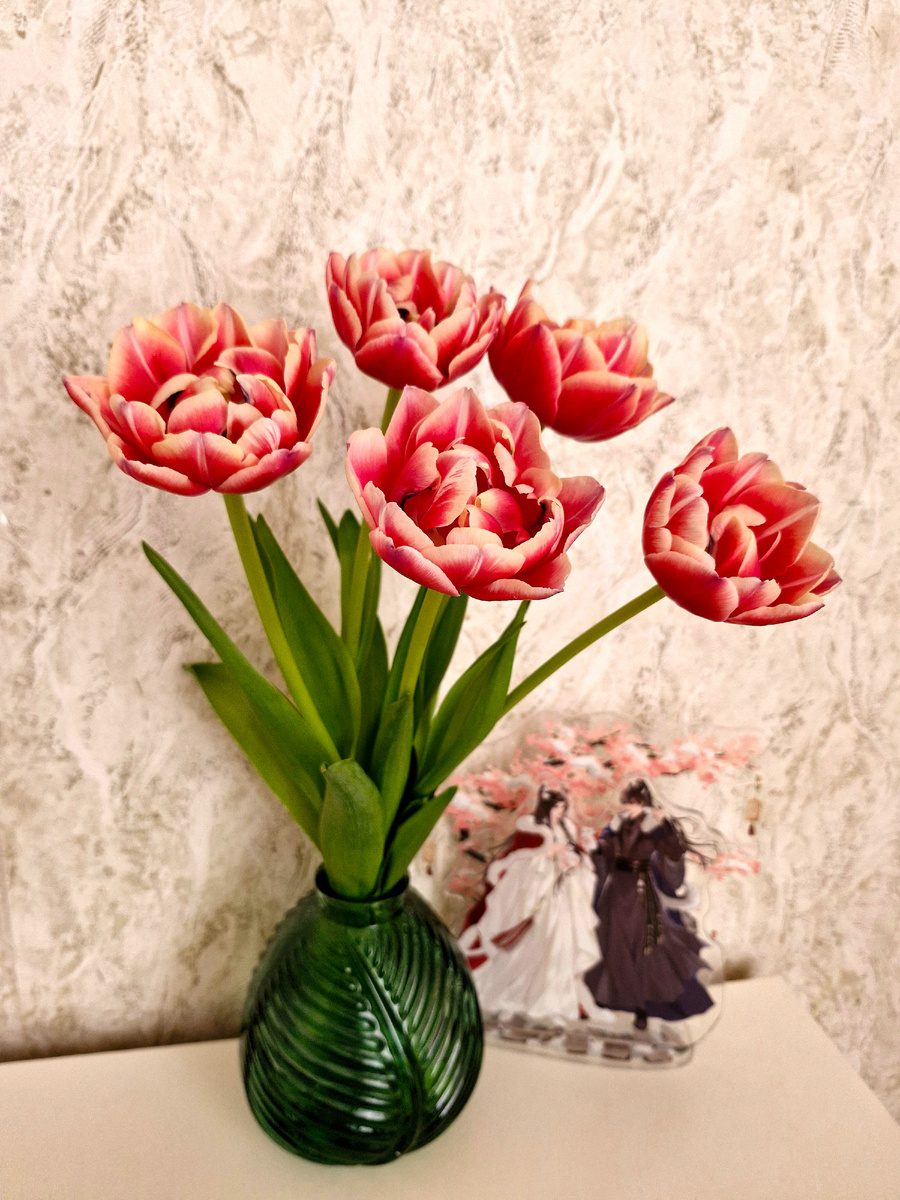 Вот так меня сегодня радуют 