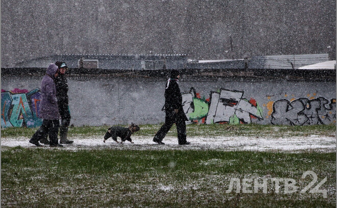    © Анастасия Илюшина / ЛенТВ24