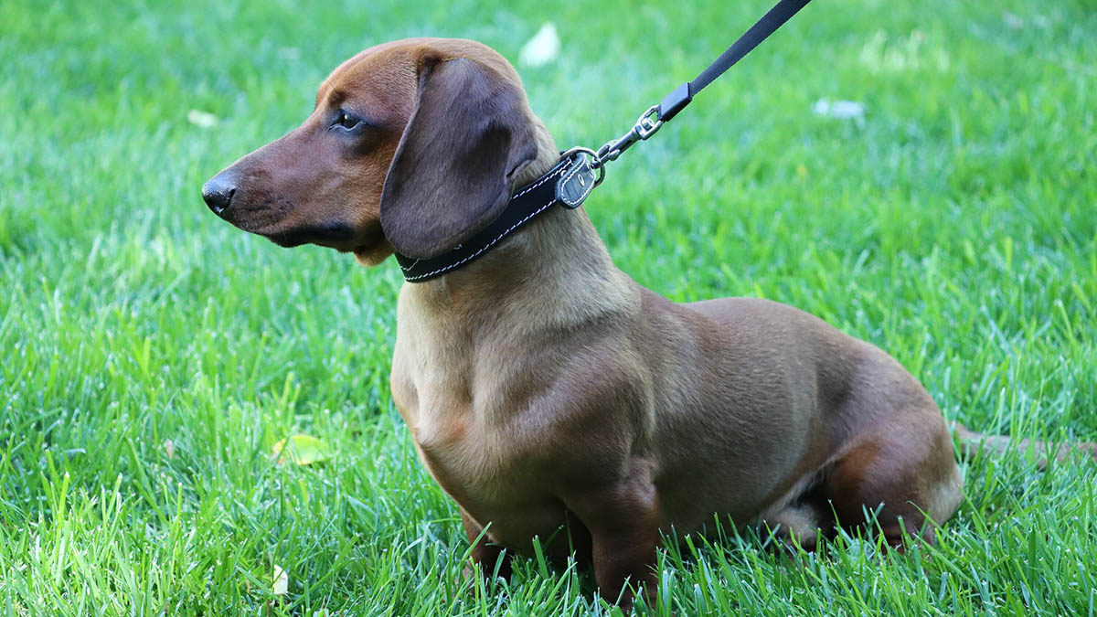    Фото: vm.ru Георгий