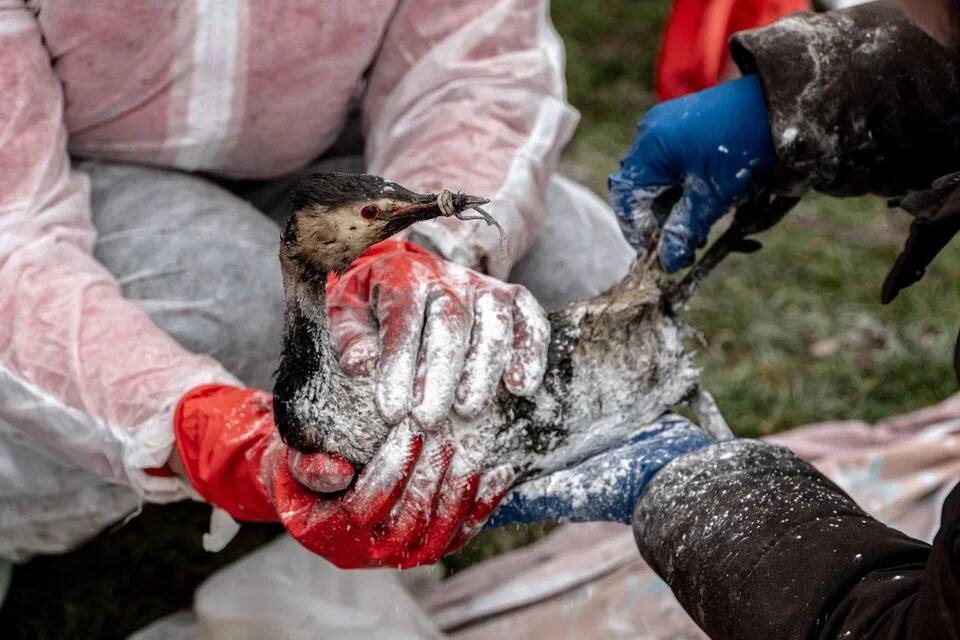    Фото: пресс-служба Сочинского географического общества