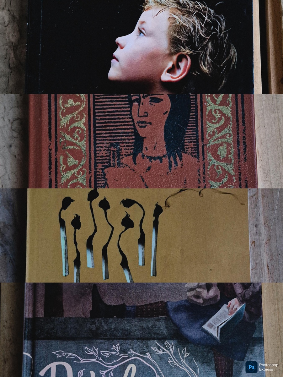 Б. Смит "Дерево растёт в Бруклине" (издательство "Эксмо", 2019, 448 с.); Л. Баллантайн "Виновный" (издательство "Азбука", "Азбука-Аттикус", 2014, 480 с.); С. Хинтон "Изгои" (издательство "Москва", "Лайвбук", 2020, 288 с.); Л. Вельскопф-Генрих "Харка - сын вождя" (издательство "АДИС", 1992, 351 с.)